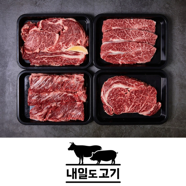 기획전 이미지