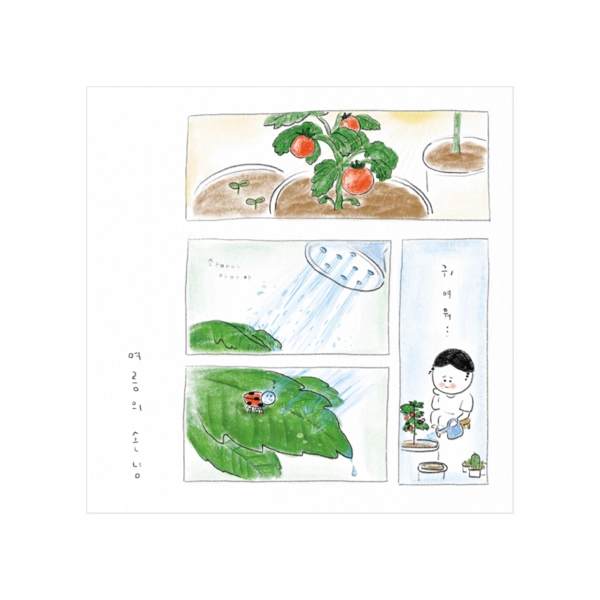 기획전 이미지