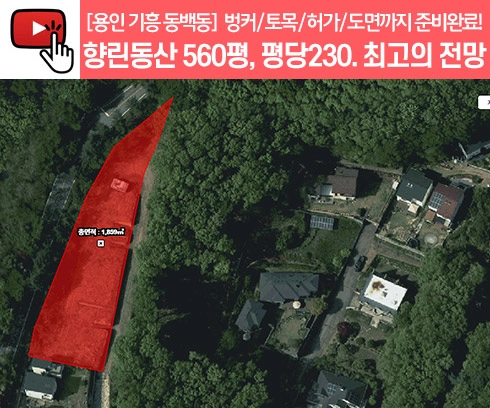 기획전 이미지
