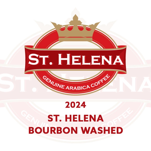 세인트 헬레나 뱀부 헤지 이스테이트 워시드 2024 [1kg]