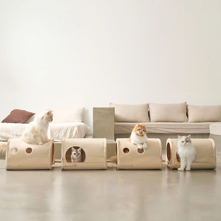 Collection image
