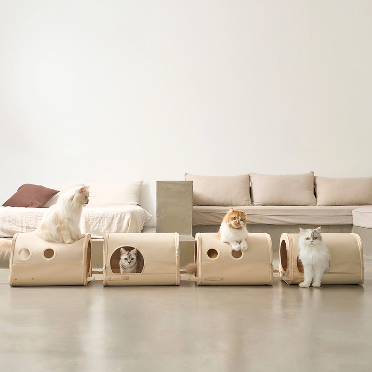Collection image