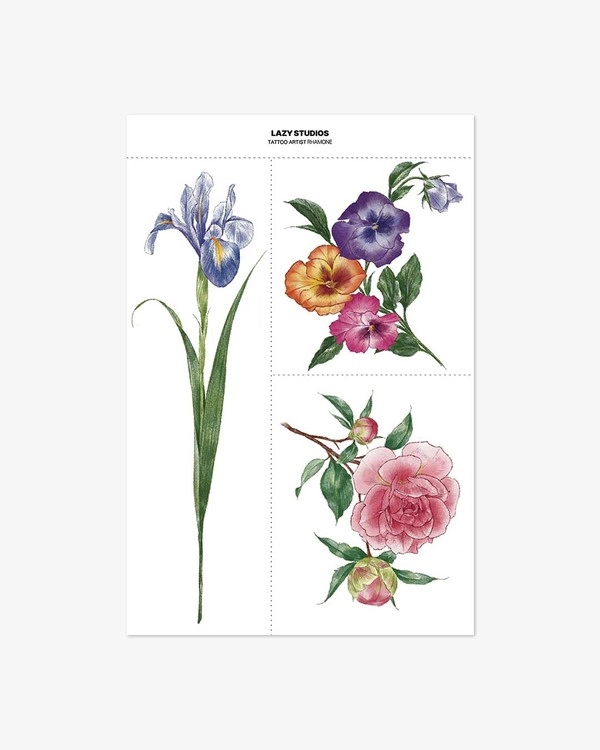 Collection image