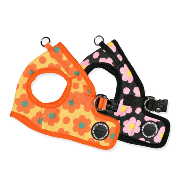 Collection image