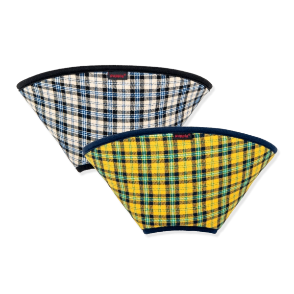 Collection image