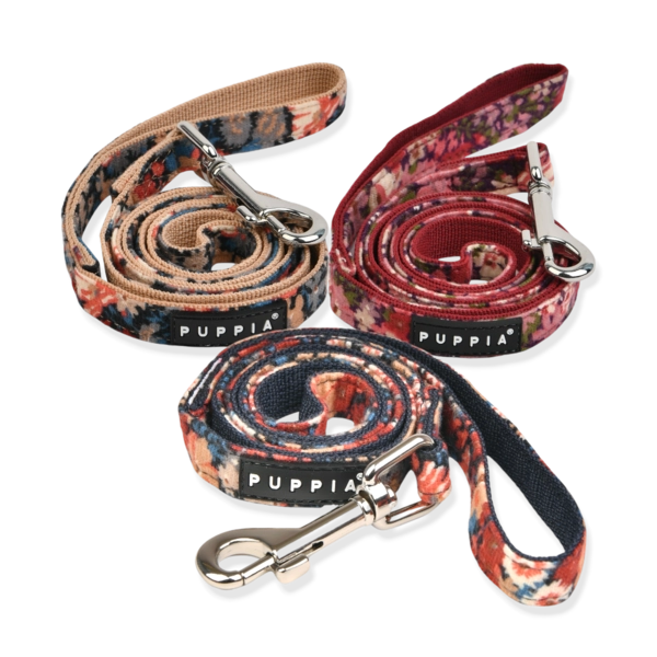 Collection image
