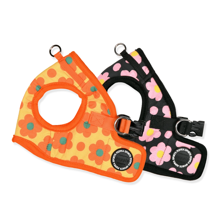Collection image