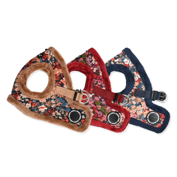 Collection image