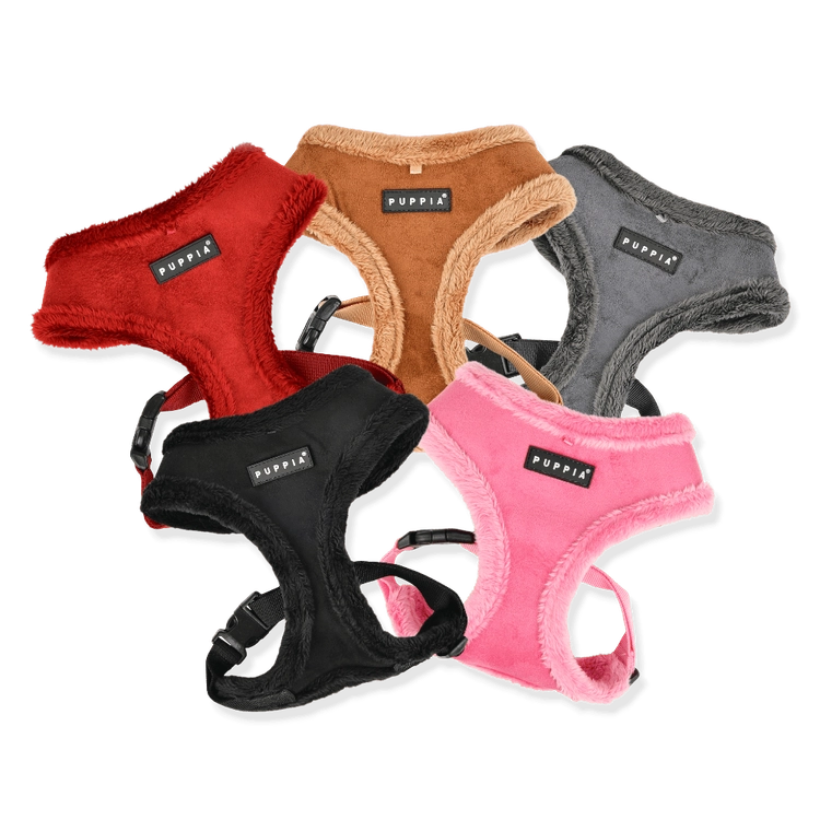 Collection image