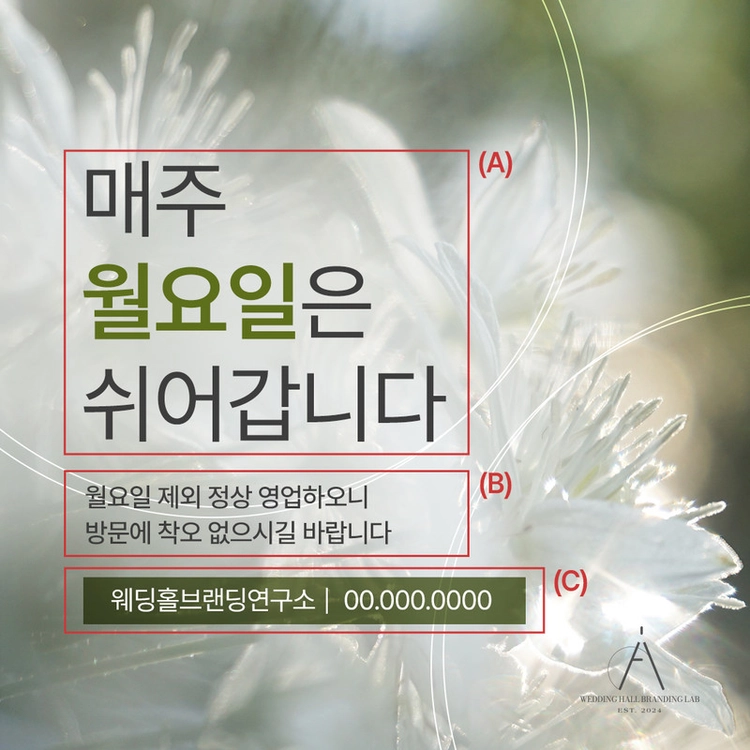 기획전 이미지