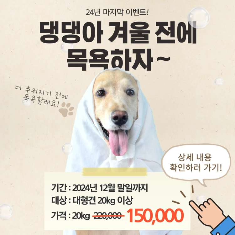 기획전 이미지