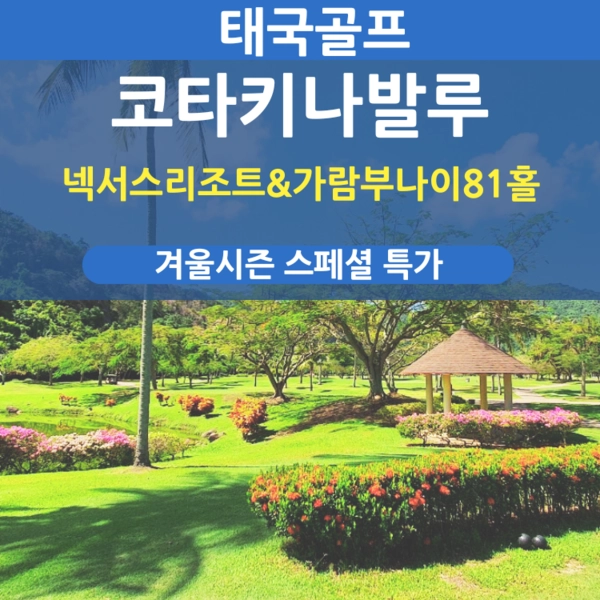 기획전 이미지