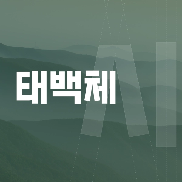 기획전 이미지