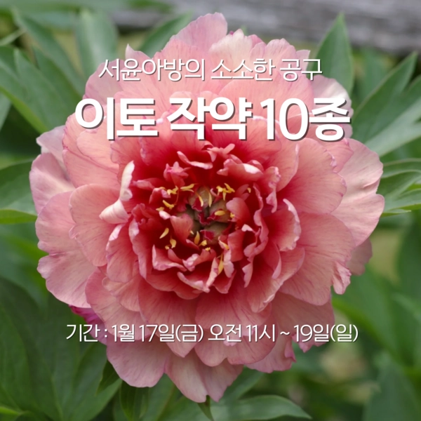 기획전 이미지