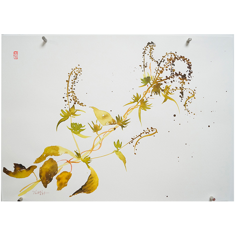 상품 이미지