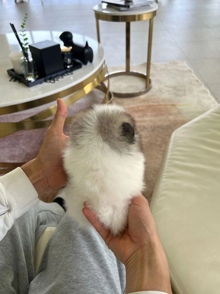 상품 이미지