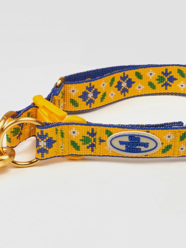 Collection image