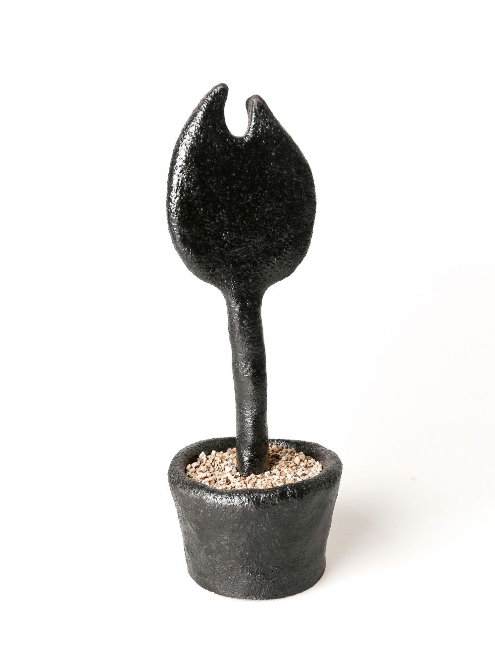 Collection image