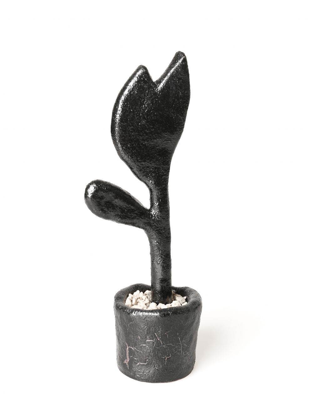 Collection image