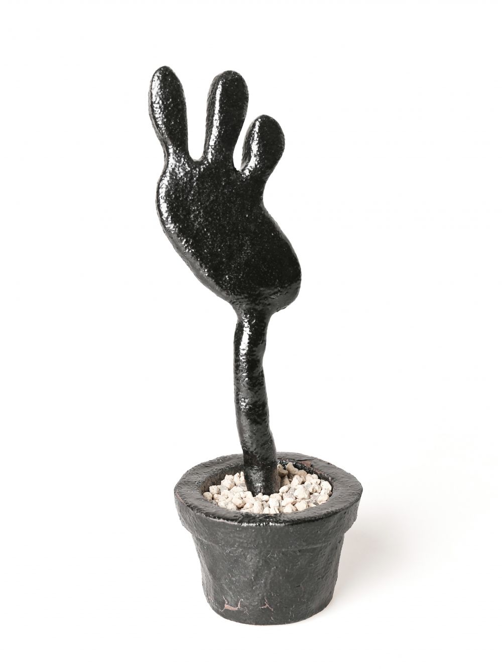 Collection image