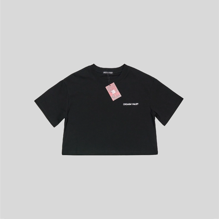 Collection image
