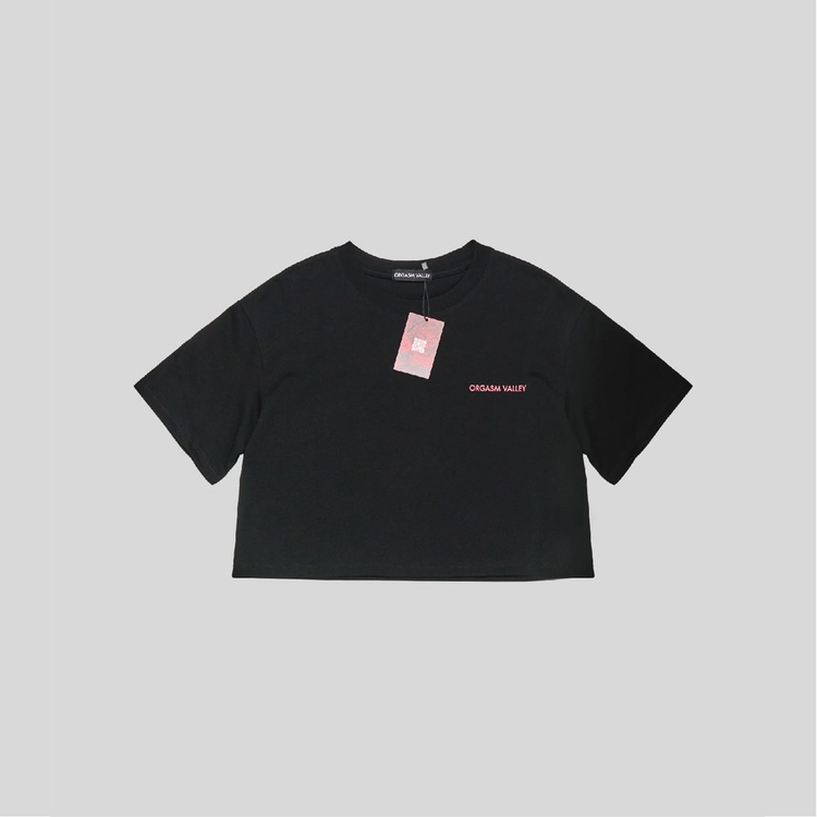 Collection image