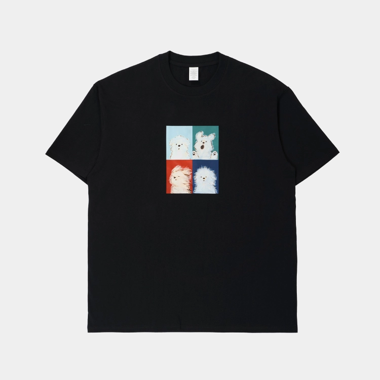 Collection image