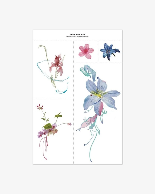 Collection image