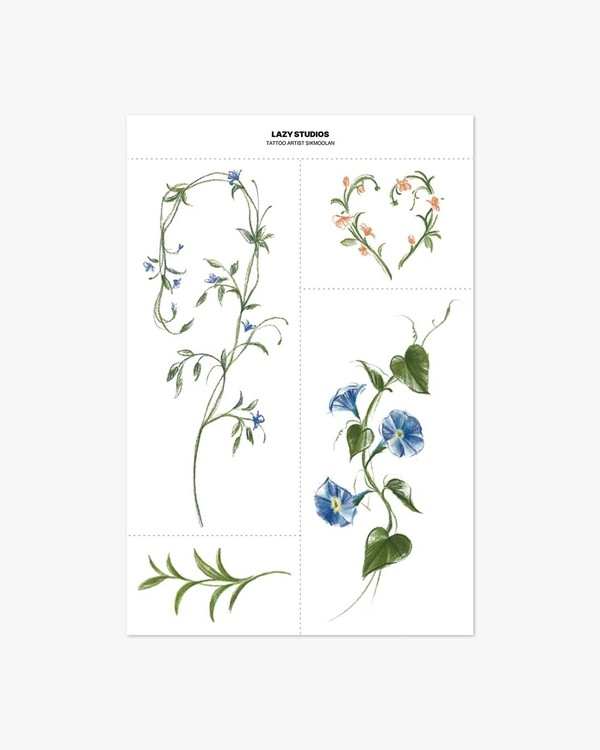 Collection image