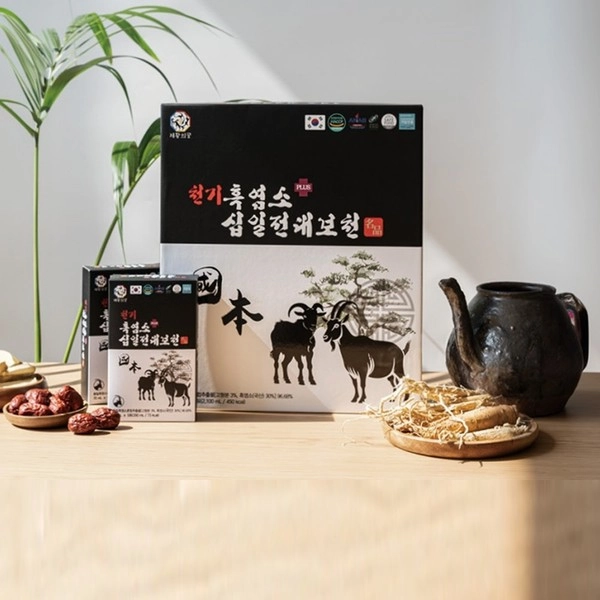 기획전 이미지