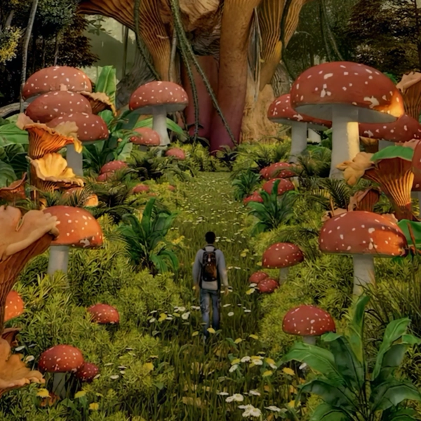 Collection image