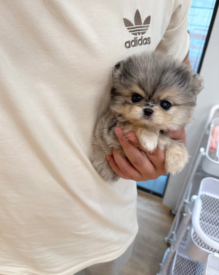 상품 이미지