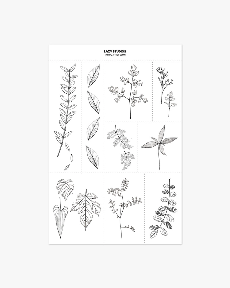 Collection image