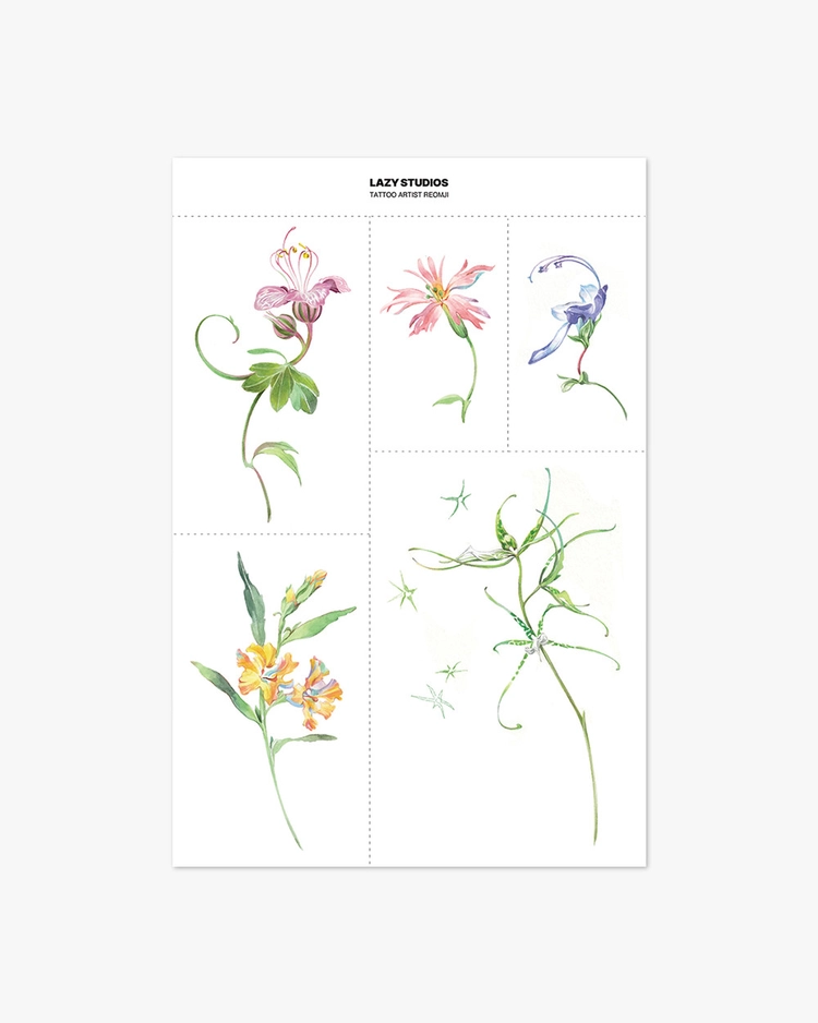Collection image