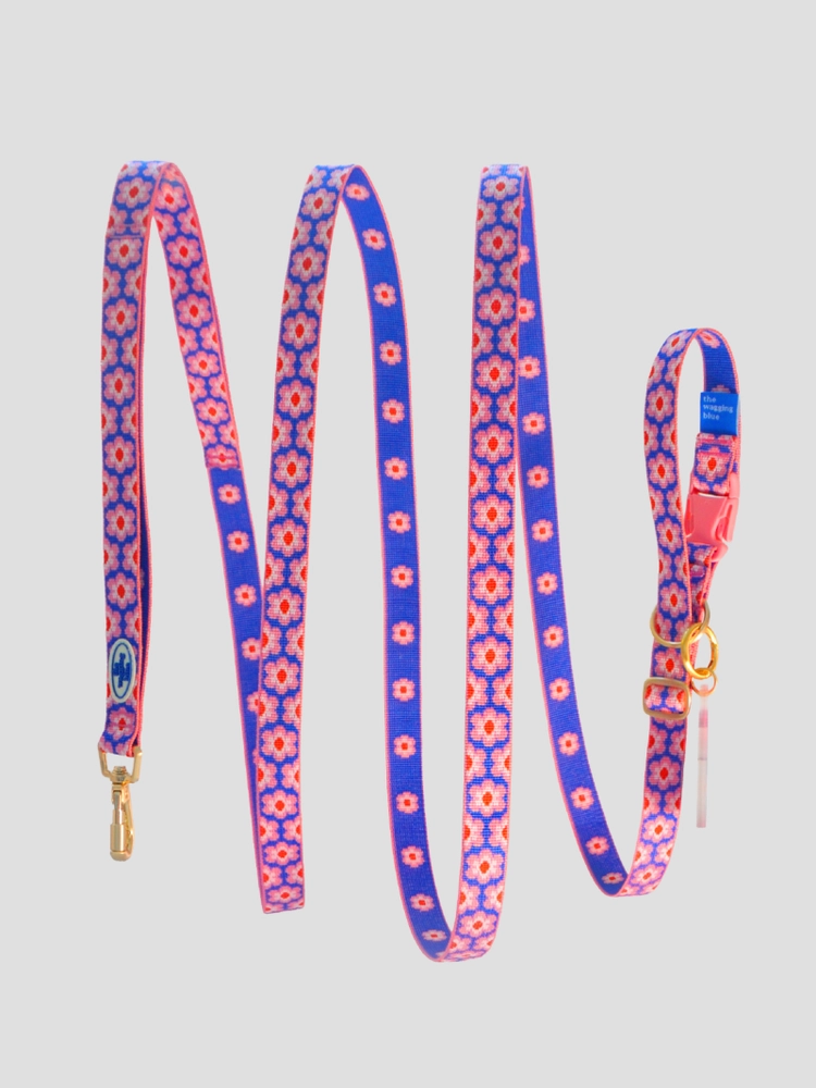 Collection image