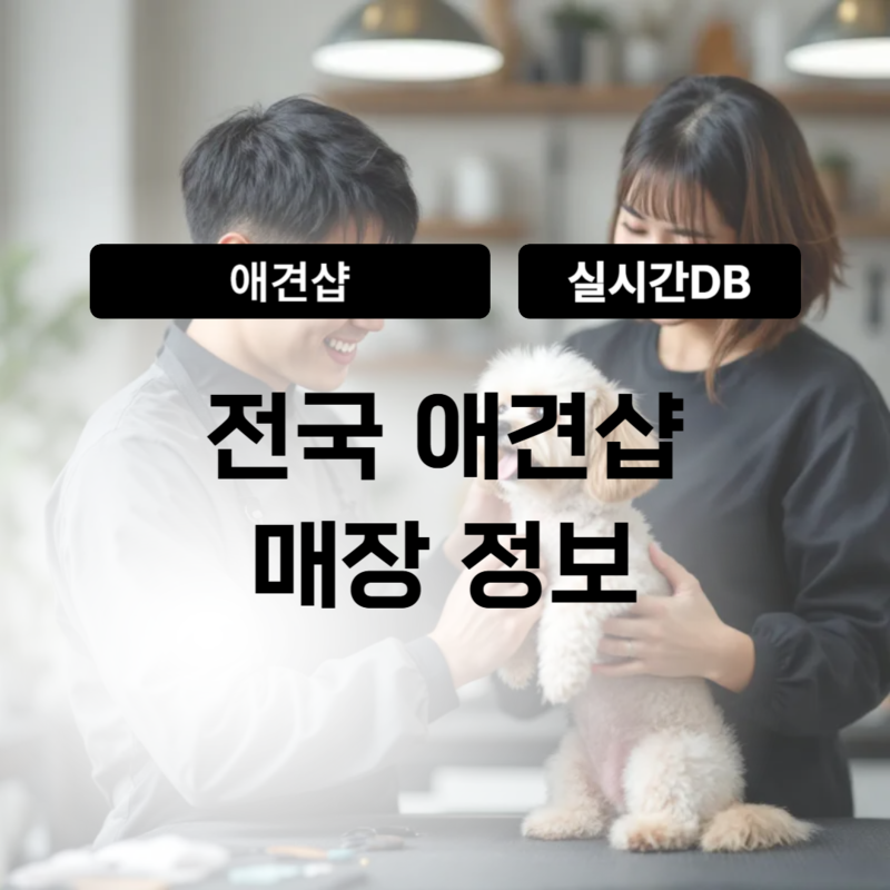 기획전 이미지