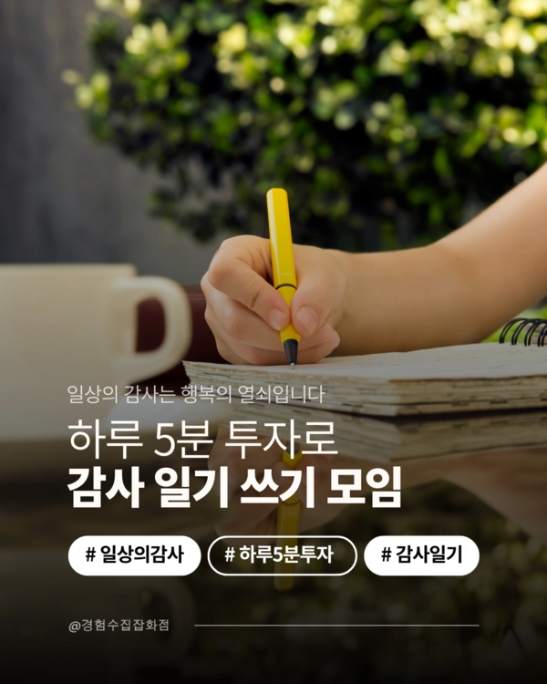 기획전 이미지
