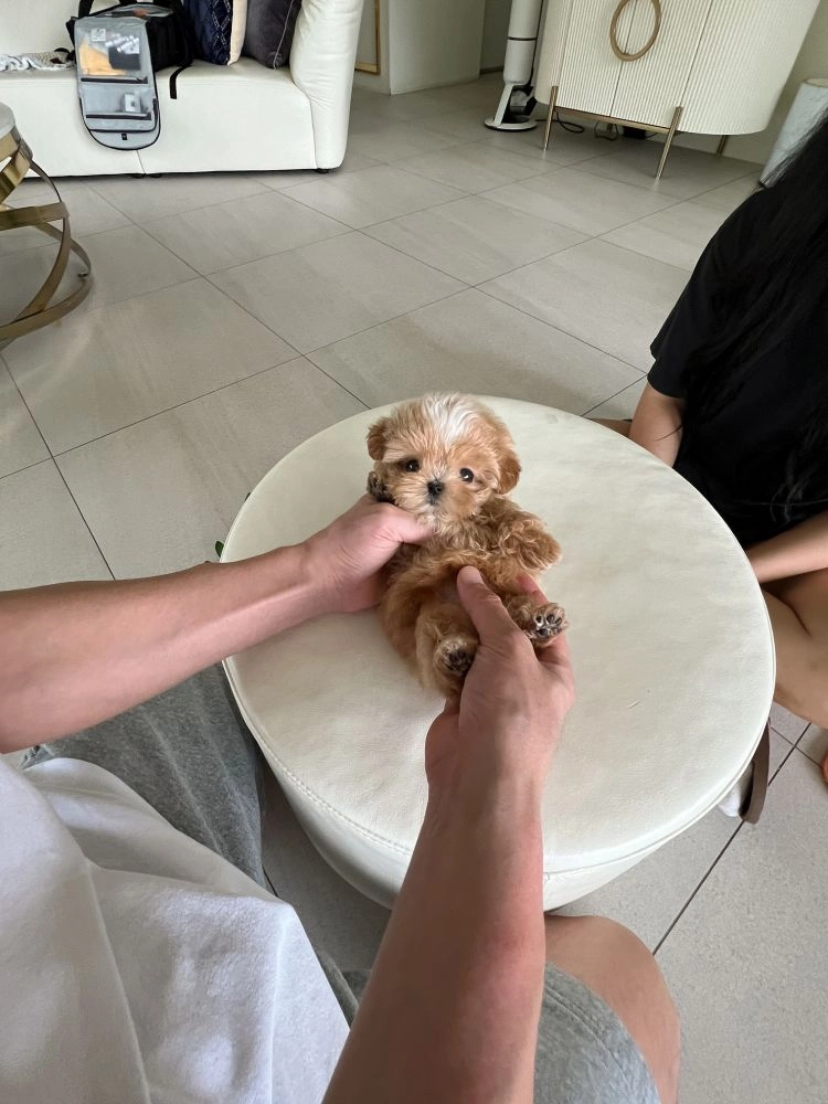 상품 이미지