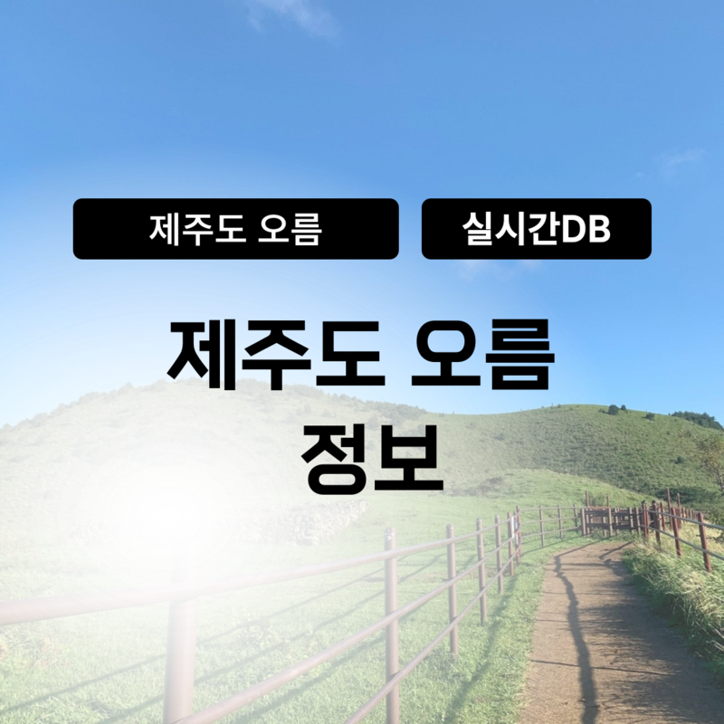 기획전 이미지