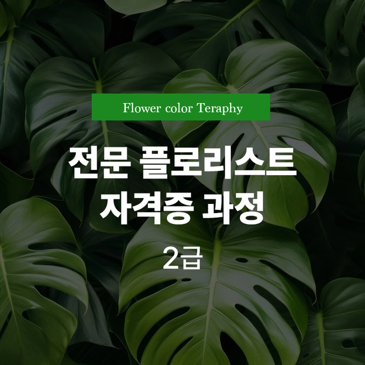 기획전 이미지