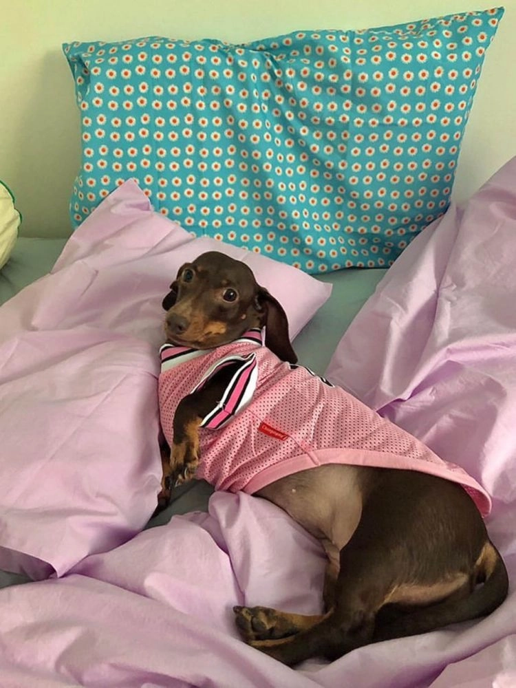 상품 이미지