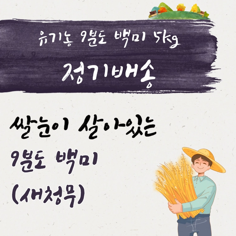 기획전 이미지