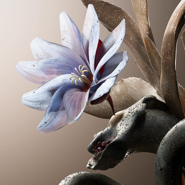 Collection image