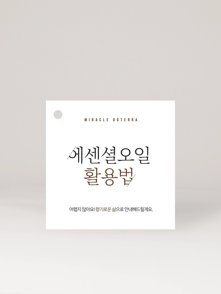 기획전 이미지