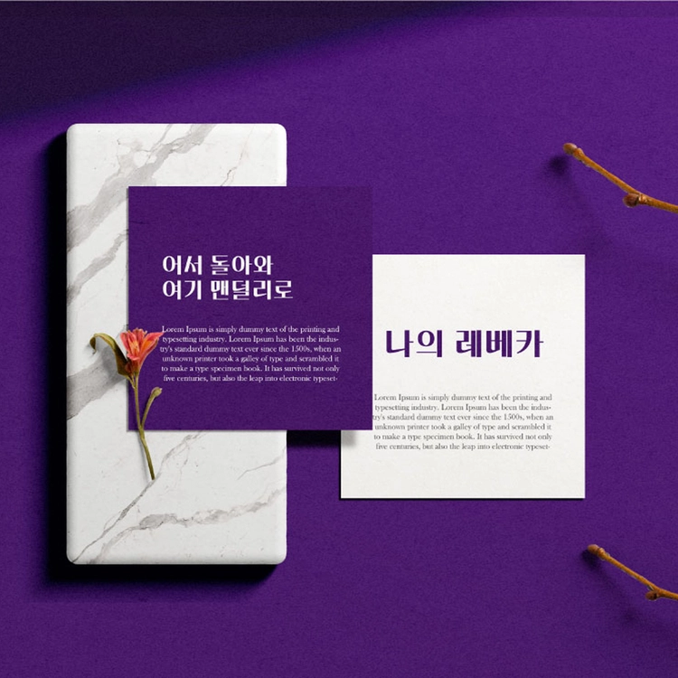 기획전 이미지