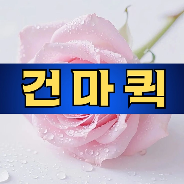 기획전 이미지