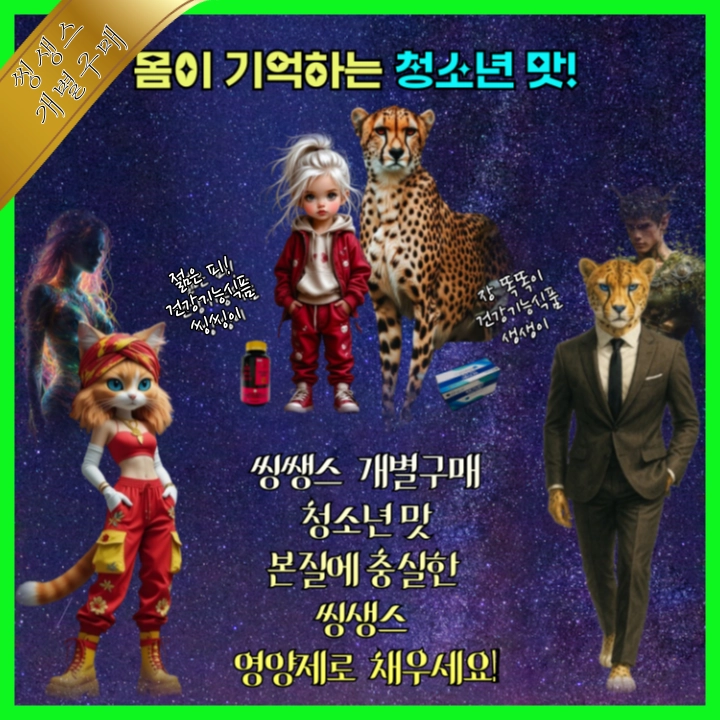 기획전 이미지