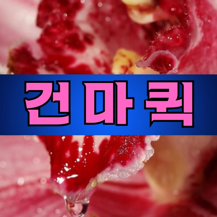 기획전 이미지