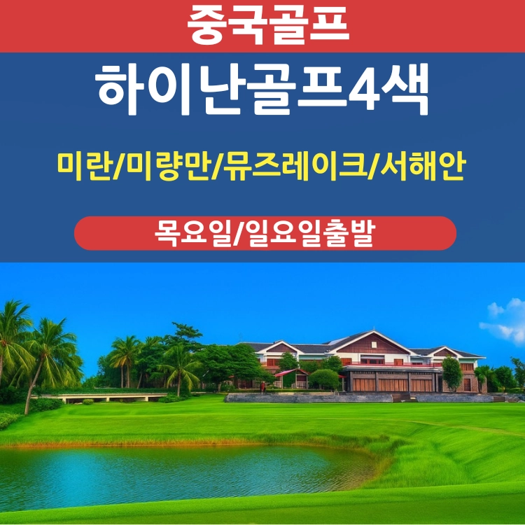 기획전 이미지