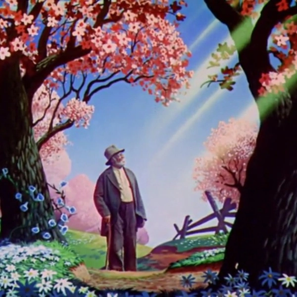 Collection image